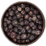 Pepper